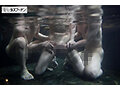 サンプル画像