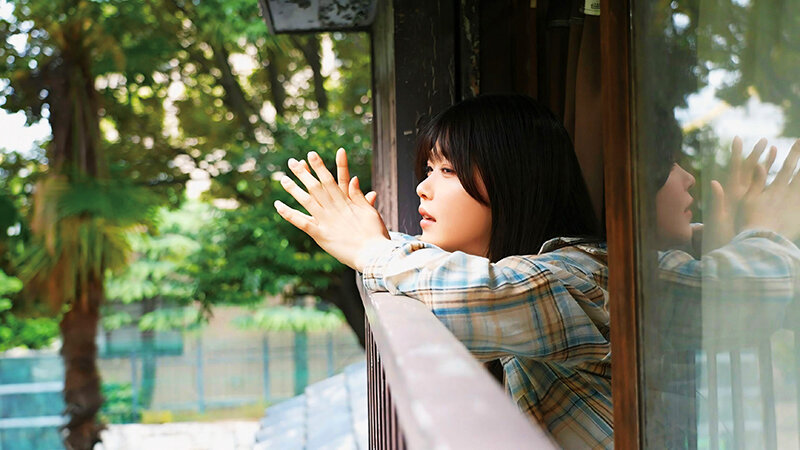 sample 6