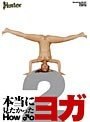 本当に見たかった HOW ♂O ヨガ 2