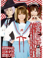 涼宮ヒハル ハレハレ240分てんこもり！総集編 ～涼宮ヒハル・朝比奈クルミ・長門ユウキ～