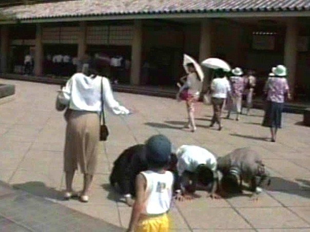 JPDDS-113 パート 13 - 162 分