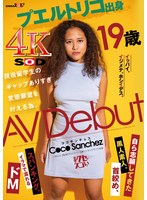 プエルトリコ出身 ココ・サンチェス 19歳 「イッパイ、イジメテ、ホシイデス。」現役留学生のギャップありすぎ変態願望を叶える為、AV Debut