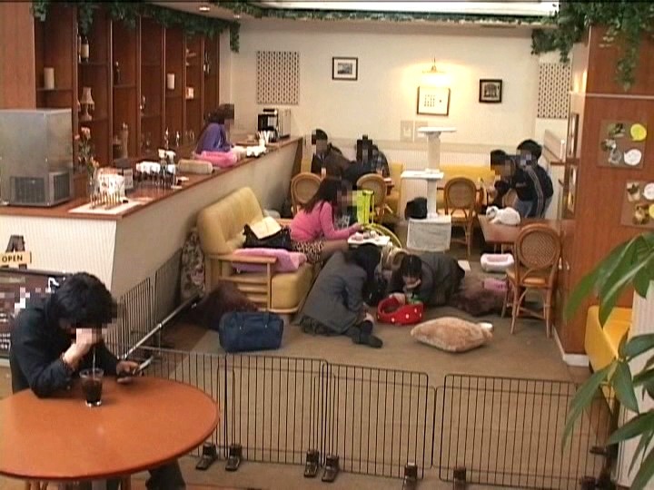 NHDTA-070 パート 1 - 30 分