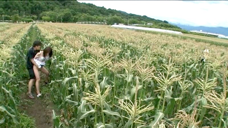 NHDTA-295 Bagian 19 - 174 minit