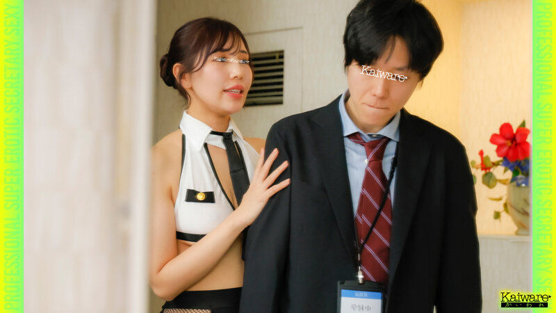 OFSD-026002 第 1 部分 - 30 分钟