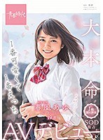 1番可愛くて1番えっち 春風（はるかぜ）あゆ 19歳 1本限定出演 SOD独占AVデビュー 春風あゆ サムネイル小