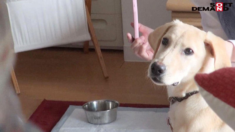 SDDE-530 パート 3 - 48 分