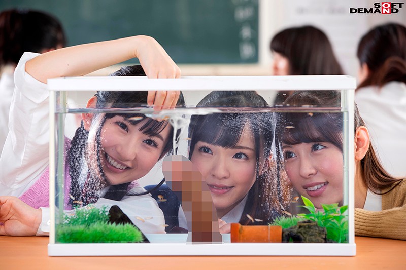 SDDE-556 第 1 部分 - 30 分钟