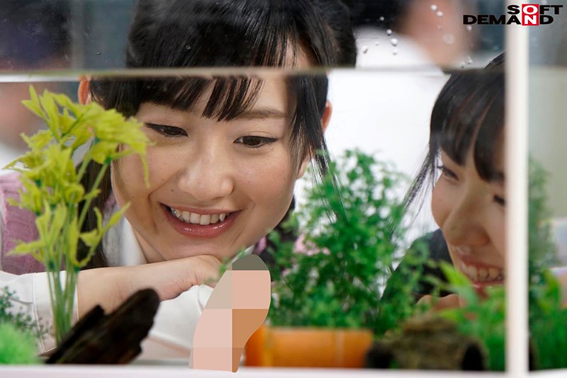 SDDE-556 パート 18 - 98 分