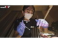 SDDE-744V jav