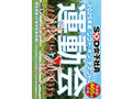【特典版】SOD女子社員 2025年度ソフト・オン・デマンド運動会 男女総勢37名の社員合戦！