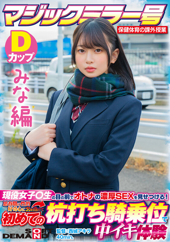 SDMM-13201 第 1 部分 - 30 分钟