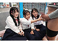 写真6
