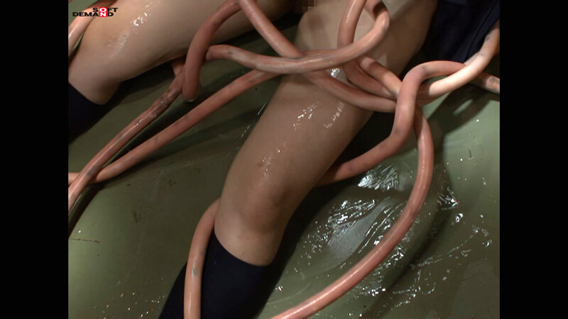 SDMS-327 第 20 部分 - 106 分钟