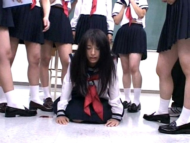 SDMS-336 Part 1 - 30 minutes