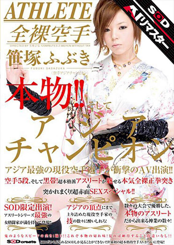 SDMS-355 第 1 部分 - 30 分钟