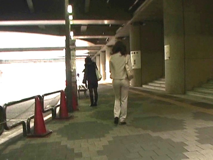 SDMS-100748 第 7 部分 - 60 分钟