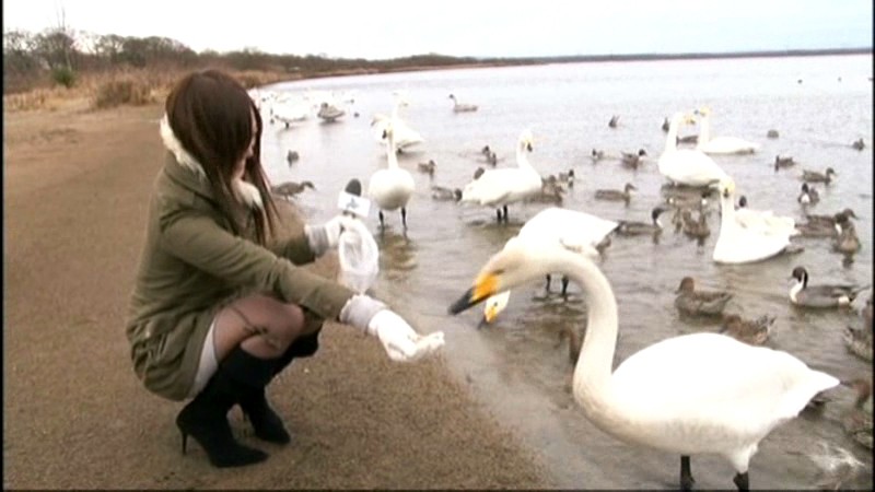 SDMS-994 第 17 部分 - 206 分钟