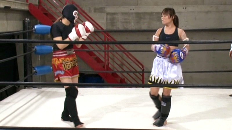 SDMT-760 第 1 部分 - 30 分钟