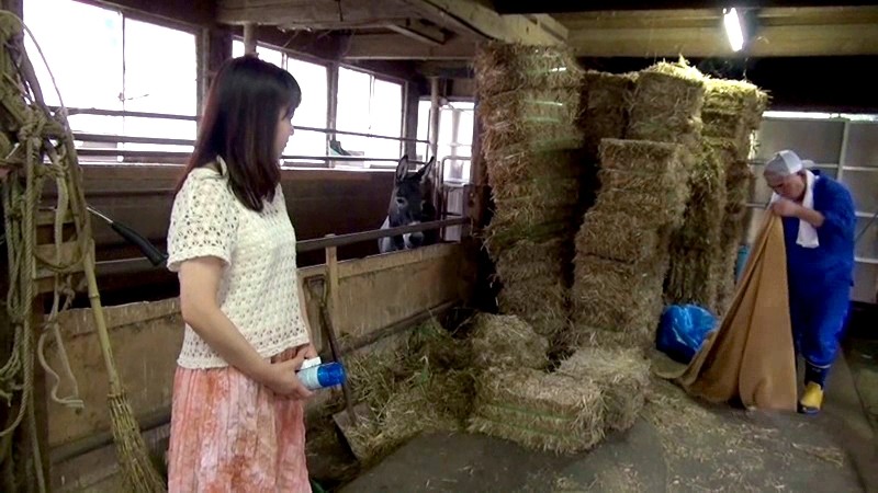 SDMT-847 Part 5 - 66 minutes