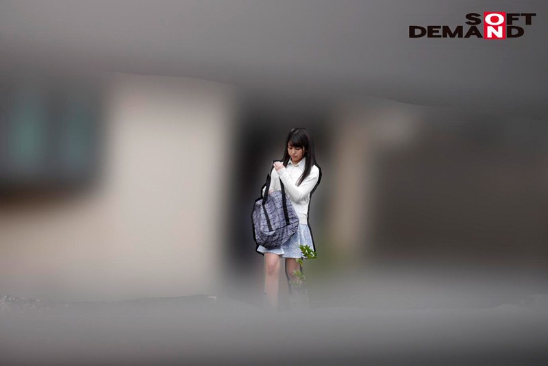 SDMU-788 パート 2 - 36 分