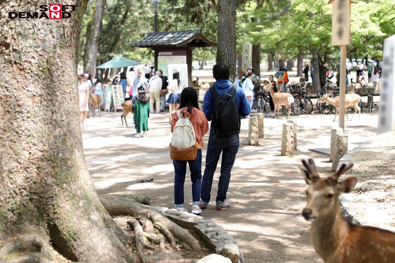 サンプル-奈良で捕まえた超絶オドオドビクビクデカちち子ちゃん ガチガチ巨根突っ込まれて半べそAVでびゅう。（させました。） 奈良県柏木町在住 「柏木むぅ」ちゃん