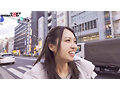 サンプル画像