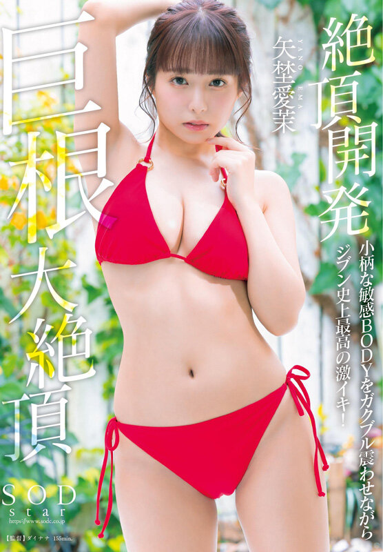 矢埜愛茉 初総集編！芸能界からAV DEBUTしたSODSTARの20タイトル20SEX豪華10時間スペシャル 画像9