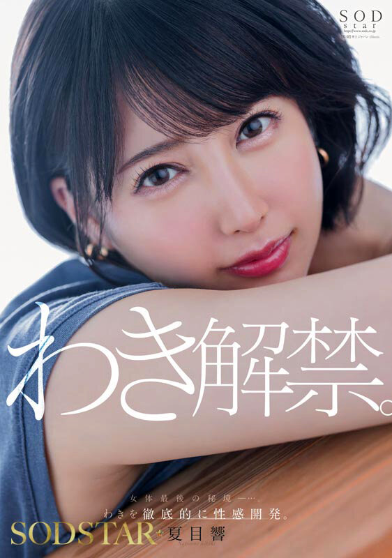 夏目響 AV卒業記念SP総集編！中出しから新作までの人気作品を集めた25作品25SEX10時間完全版！ 画像13