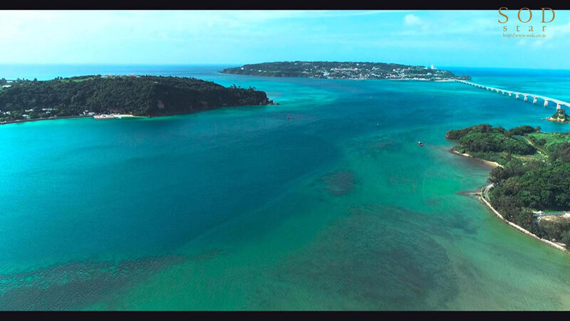 STARS-446 第 4 部分 - 54 分钟