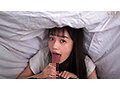 サンプル画像