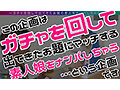 サンプル画像