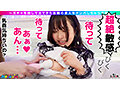 サンプル画像