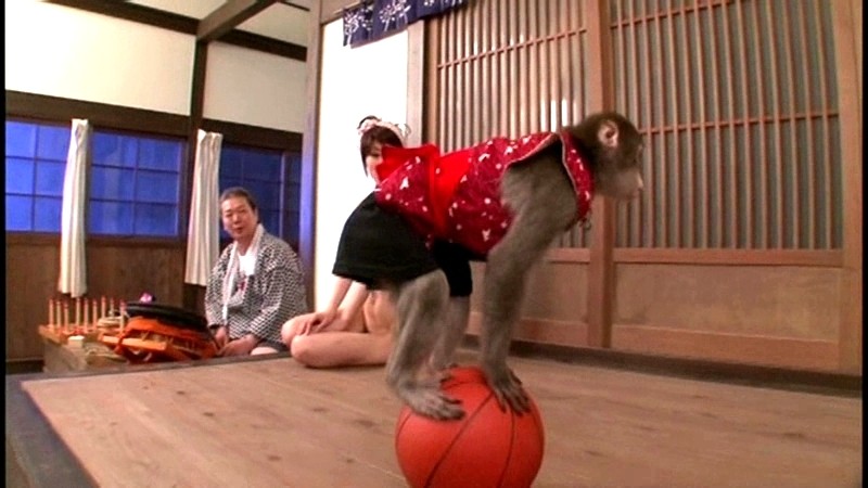 SVDVD-194 第 17 部分 - 158 分钟