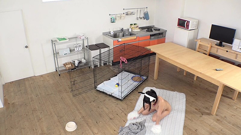 ある日突然、姉が犬になってしまった！しょうがないからペットとして世話をしていたら、急に発情！まさかの近親相姦！ - Image 2