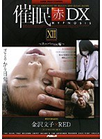 (21ad134)[AD-134]催● 赤 DXXII スーパーmc編 金沢文子 ダウンロード