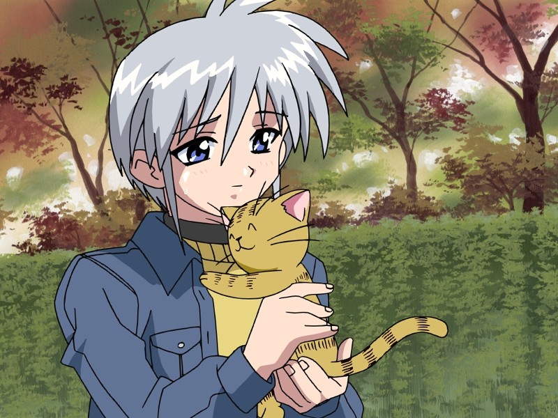 とらいあんぐるハート さざなみ女子寮 THE BEST 画像2