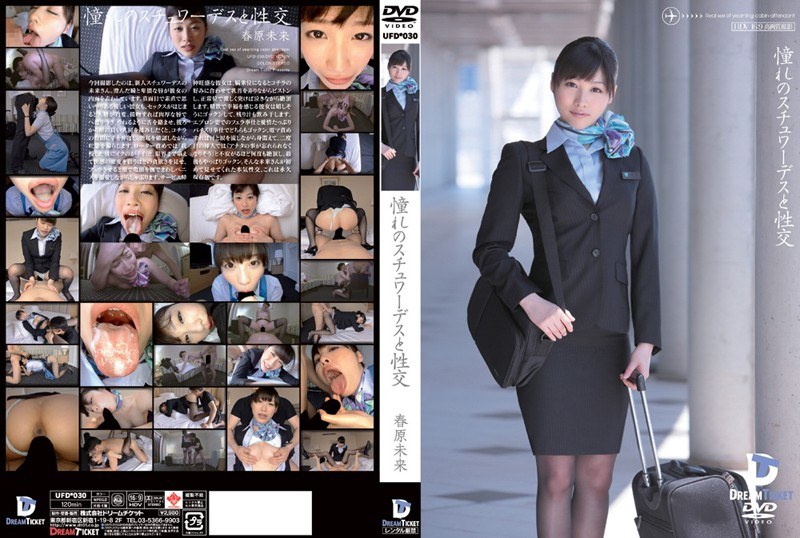 Sex with the stewardess of your dreams, Mirai Sunohara