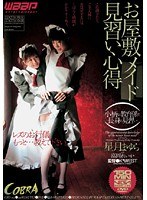 (2cbd00028)[CBD-028]Mansion Maid Learns By Example Download