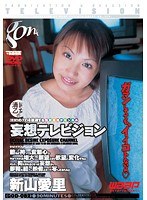 妄想テレビジョン 新山愛里のジャケット表面画像