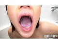サンプル画像