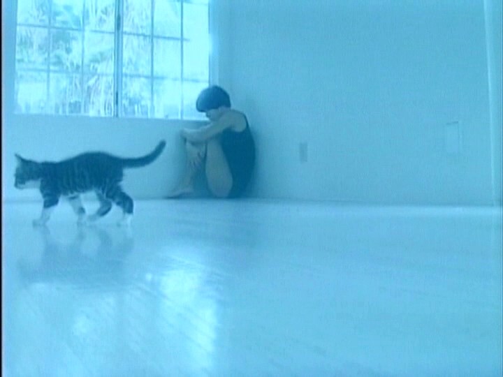 Legend Gold ～伝説のスーパーアイドル完全復刻版～ Sexy Cat 網浜直子_網浜直子_画像3