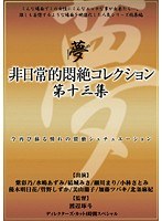 非日常的悶絶コレクション第十三集 サムネイル小