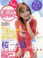 うっかりマンコが出てました 桜一菜のジャケット表面画像