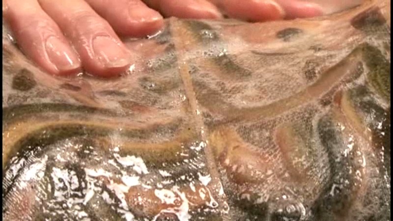 SWS-005 Part 3 - 34 minutes