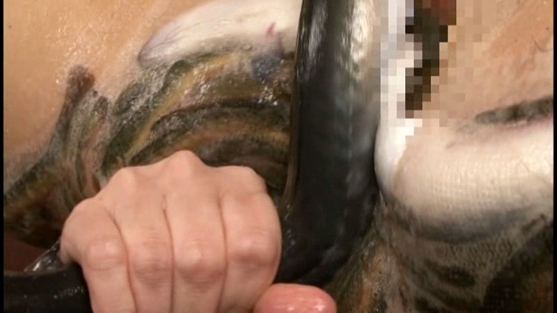 SWS-005 Part 5 - 38 minutes