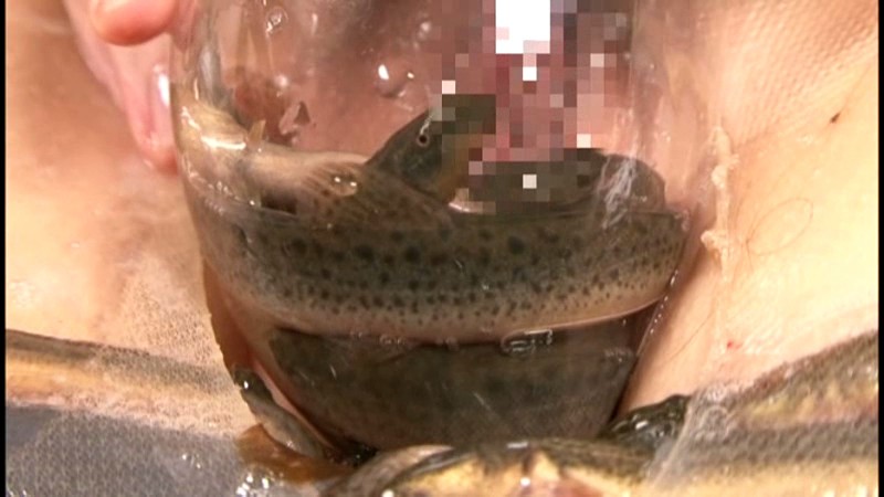 SWS-005 Part 6 - 40 minutes