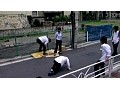 サンプル画像