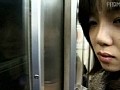 サンプル画像