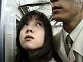 サンプル画像